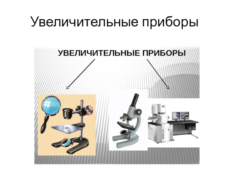 Увеличительные приборы 5 класс