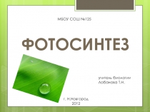 Презентация к уроку Фотосинтез 9 класс
