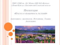 Презентация к занятию Знакомство с растительным миром