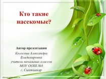 Презентация по окружающему миру на тему Кто такие насекомые