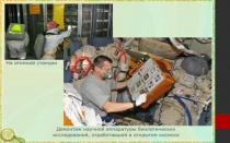 Презентация по биологии на тему Бактерии