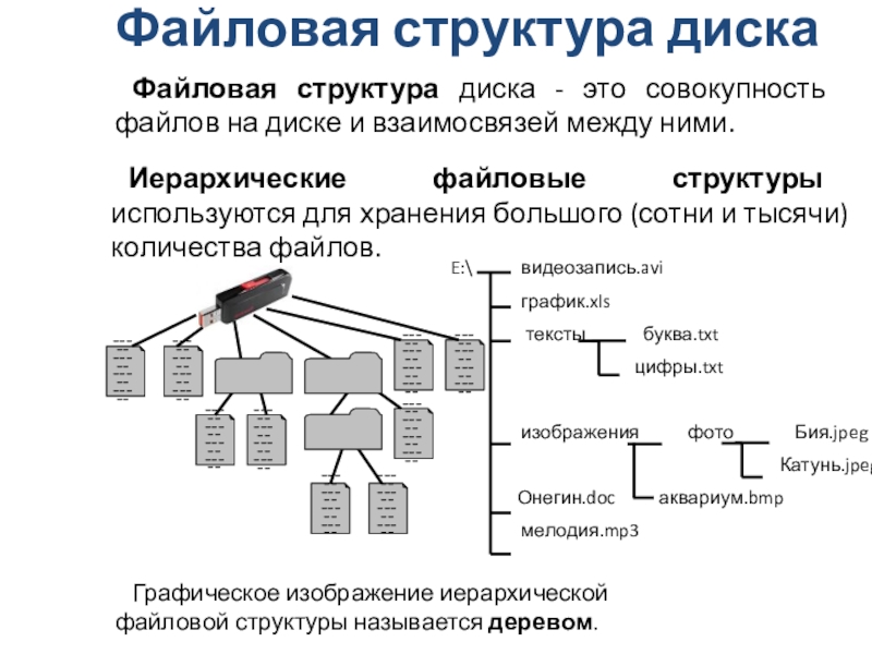 Презентация по информатикеФайлы и файловые структуры(7 класс) Файловая структура диска Файловая структура диска - это совокупность файлов на Файловая структура диска Файловая структура диска - это совокупность файлов на диске и взаимосвязей между ними.Иерархические файловые
