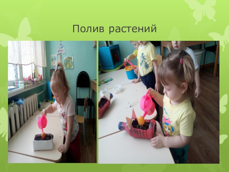 Презентация на конкурс Огород на подоконнике- Огород- малышок Полив растений Полив растений
