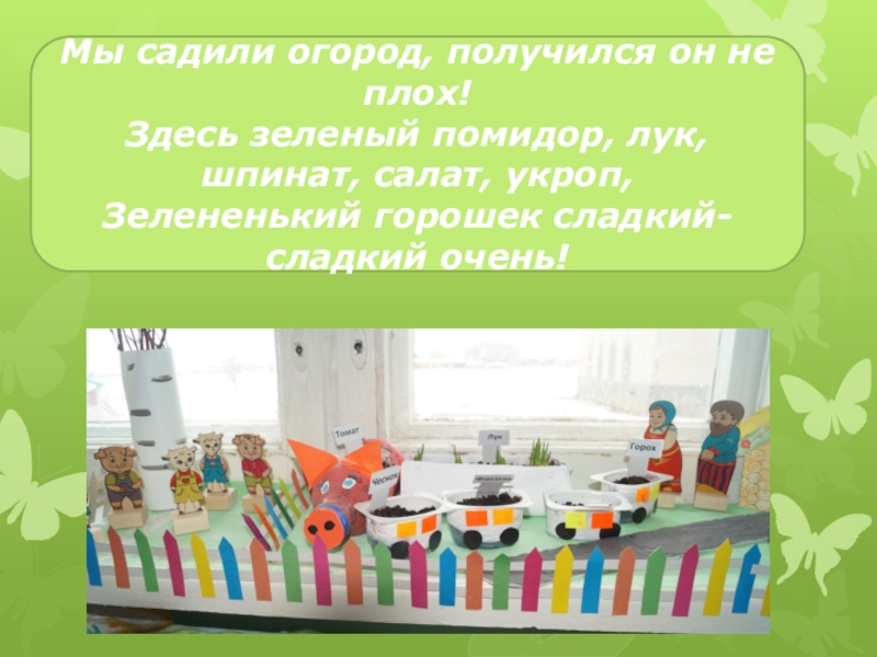 Презентация на конкурс Огород на подоконнике- Огород- малышок Мы садили огород, получился он не плох!Здесь зеленый помидор, лук, шпинат, Мы садили огород, получился он не плох!Здесь зеленый помидор, лук, шпинат, салат, укроп,Зелененький горошек сладкий- сладкий очень!