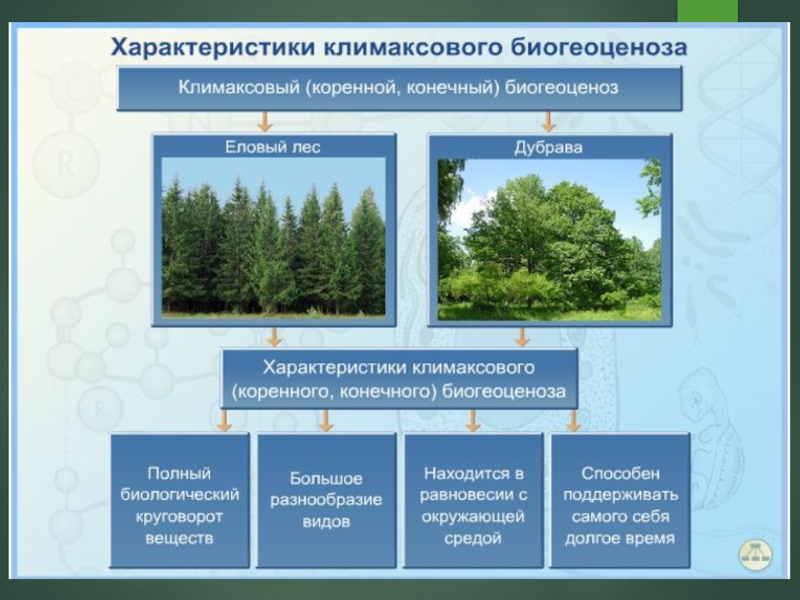 Презентация смена природных сообществ 6 класс пономарева