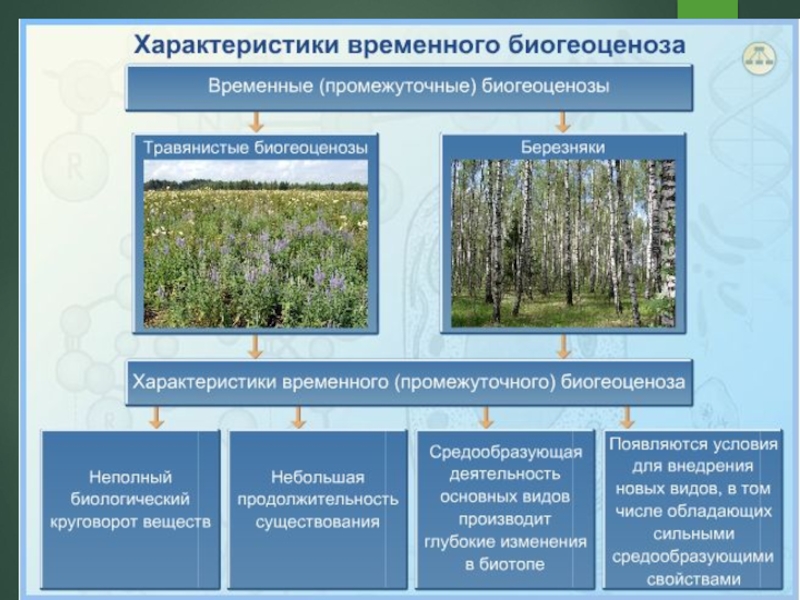 Презентация смена природных сообществ 6 класс пономарева