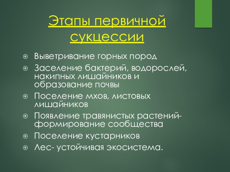 Смена природных сообществ презентация 6 класс