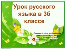 Презентация к видеоуроку Обобщение: что мы знаем об именах существительных