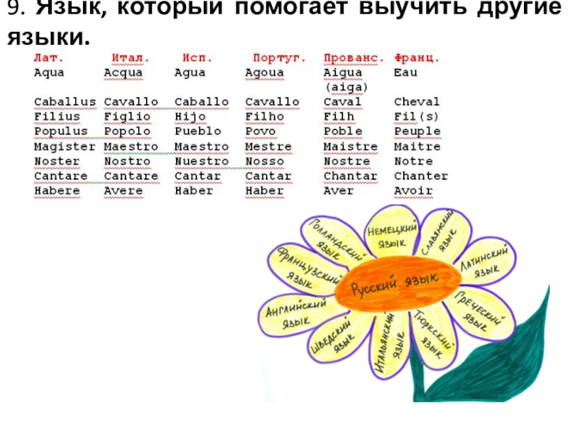 Французский язык план изучения