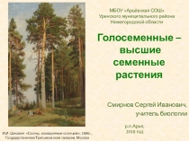 Презентация по биологии в 6 классе по теме Голосеменные - высшие семенные растения