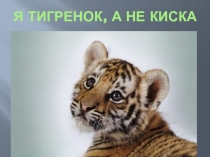 Презентация по художественной деятельности Тигры
