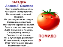 Презентация защиты творческого проекта по окружающему миру Выращивание культурного растения. Томат (2-3 класс)