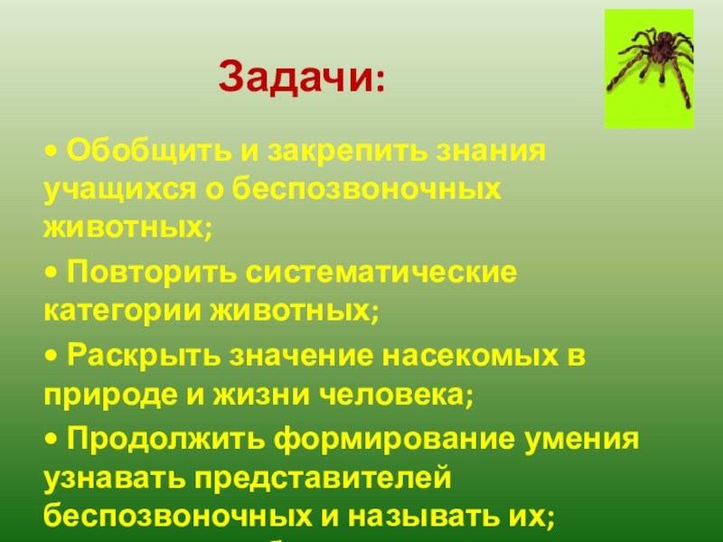 Значение насекомых в природе