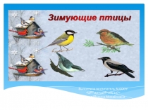 зимующие птицы нашего края