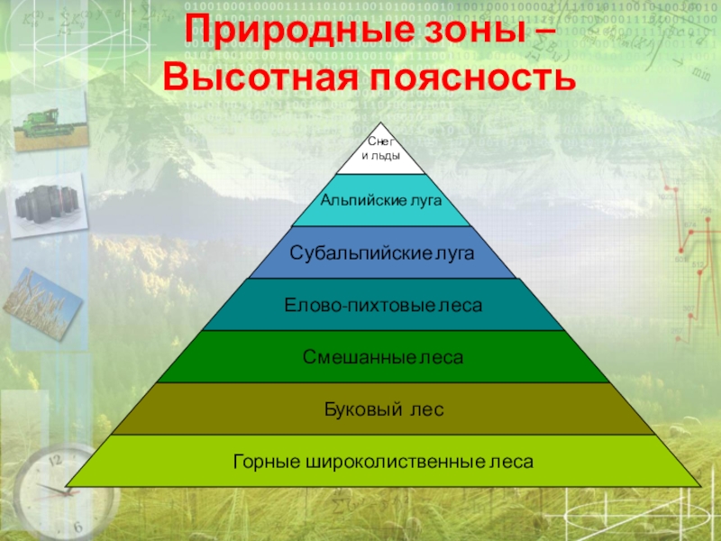 Высотная поясность это природная зона. Природные зоны ВЫСОТНОЙ поясности. Высотная поясность Альпийские Луга. Высотная поясность Кавказа 8 класс. Высотная поясность Кавказа 8 класс география.