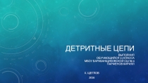 Презентация по биологии на тему: Детритные цепи