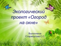 Экологический проект Огород на окне
