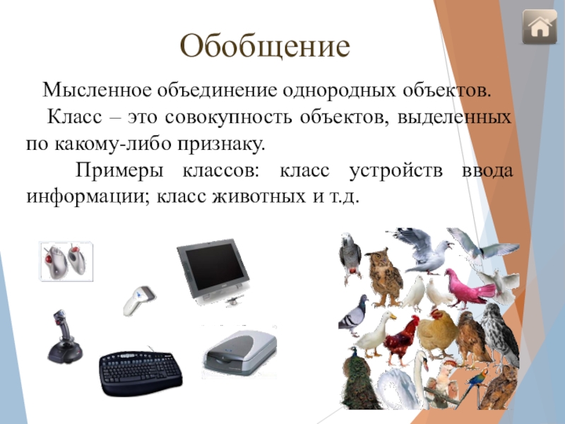 Совокупность предметов. Обобщение это в информатике. Обобщение это мысленное объединение однородных объектов. Пример обобщение в информатике. Обобщение это в информатике 6 класс.