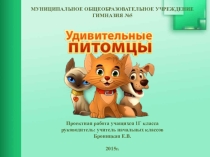 Проектная работа Удивительные питомцы