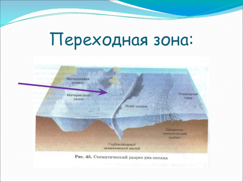 Схема строения рельефа дна мирового океана глубоководный желоб