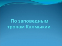 Презентация По заповедным тропам биосферного заповедника Черные Земли