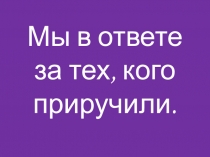 Презентация Мы в ответе за тех кого приручили