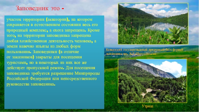 Природный комплекс краснодарского края. Заповедные зоны Краснодарского края. Заповедные места Краснодарского края презентация. Заповедники Краснодарского края доклад. Заповедник это природный участок территории или акватории.