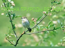 Презентация Охрана природы весной 2класс