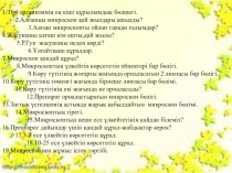 Презентация по биологии на тему Жасушаның құрылысы