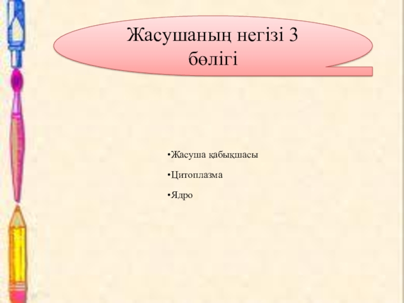 Презентация по биологии на тему Жасушаның құрылысы Жасушаның негізі 3 бөлігі Жасушаның негізі 3 бөлігі
