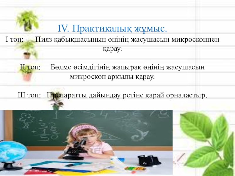 Презентация по биологии на тему Жасушаның құрылысы IV. Практикалық жұмыс.І топ: Пияз қабықшасының өңінің жасушасын IV. Практикалық жұмыс.І топ: Пияз қабықшасының өңінің жасушасын микроскоппен қарау.ІІ топ: