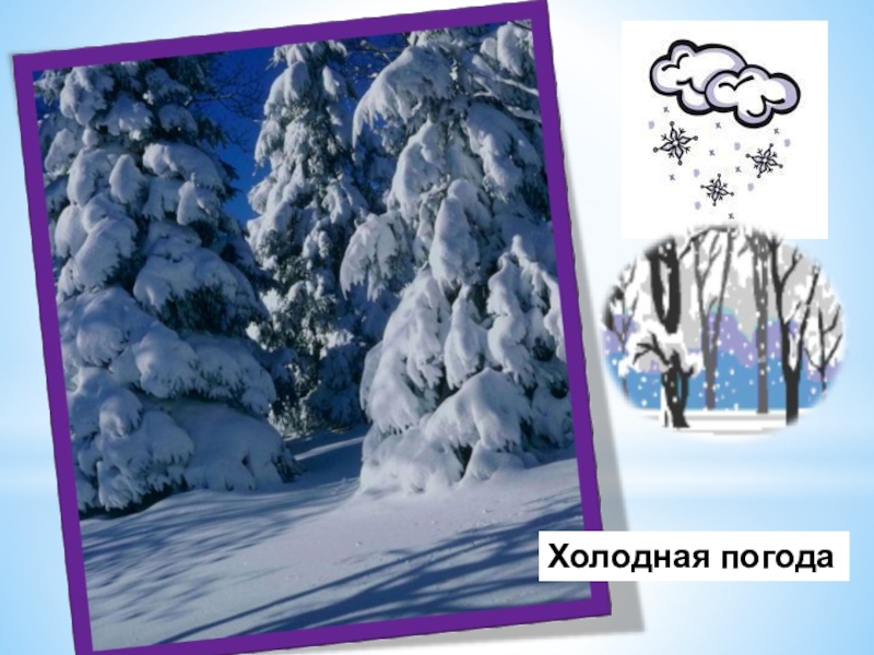 Класс холодно. Умеренная холодная зима. Умеренно холодной погодой,. Умеренно холодный. Тёплое продолжительное лето и умеренно холодная зима.