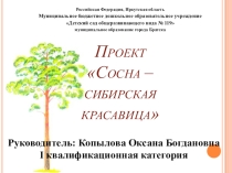 Презентация Проект Сосна - сибирская красавица