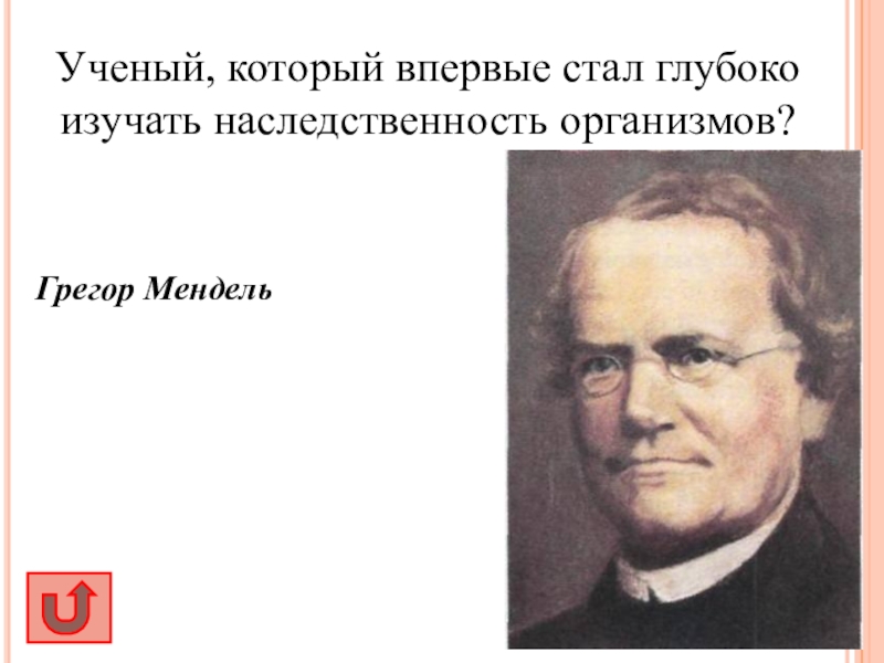 Впервые стал. Грегор Мендель впервые стал глубоко изучать. Грегор Мендель лауреат Нобелевской премии. Изучение наследственности ученые. Аарон Давидович Мендель.