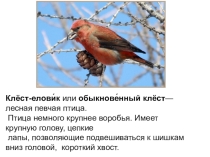 Слайды к уроку Правописание безударных окончаний существительных в родительном, дательном и предложном падежах