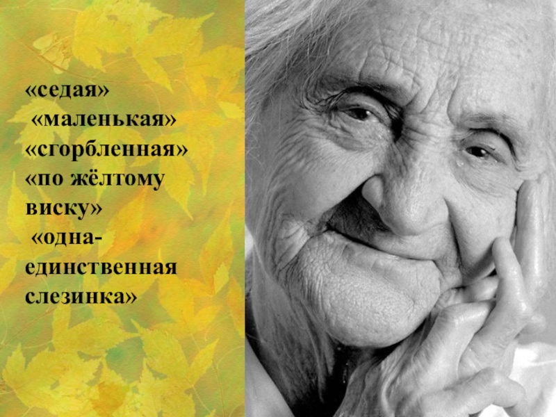 «седая» «маленькая»«сгорбленная»«по жёлтому виску» «одна-единственная слезинка»