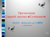 Презентация Старшей группы Солнышко МБДОУ д\с 37
