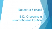 Презентация по Биологии на тему &12. Строение и многообразие Грибов. (5 класс)