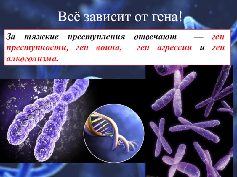 От ген зависит. Ген для презентации. Генетическая агрессия. Гены это в биологии. Ген агрессии у человека.