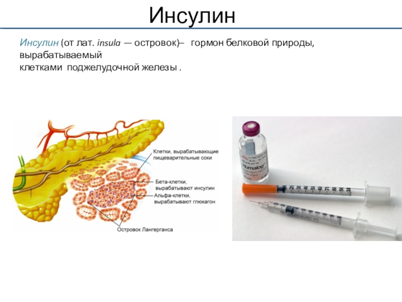 Инсулин фото гормона