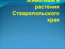 Презентация для внеурочной кружковой работы по программе  Край, в котором я живу Животные и растения Ставропольского края