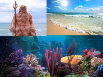 Водоросли