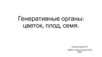 Презентация для систематизации знаний по теме Генеративные органы: цветок, плод, семя