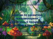 Презентация к занятию по развитию психомоторики и сенсорных процессов Путешествие в лес Вниманий (для уч-ся 4 класса)