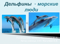 Презентация к проекту Дельфины - морские люди