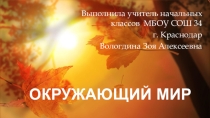 Презентация по окружающему миру на тему Если бы не было растений на Земле (3 класс)