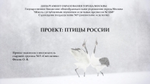 Презентация по познавательно-исследовательской деятельности Птицы России