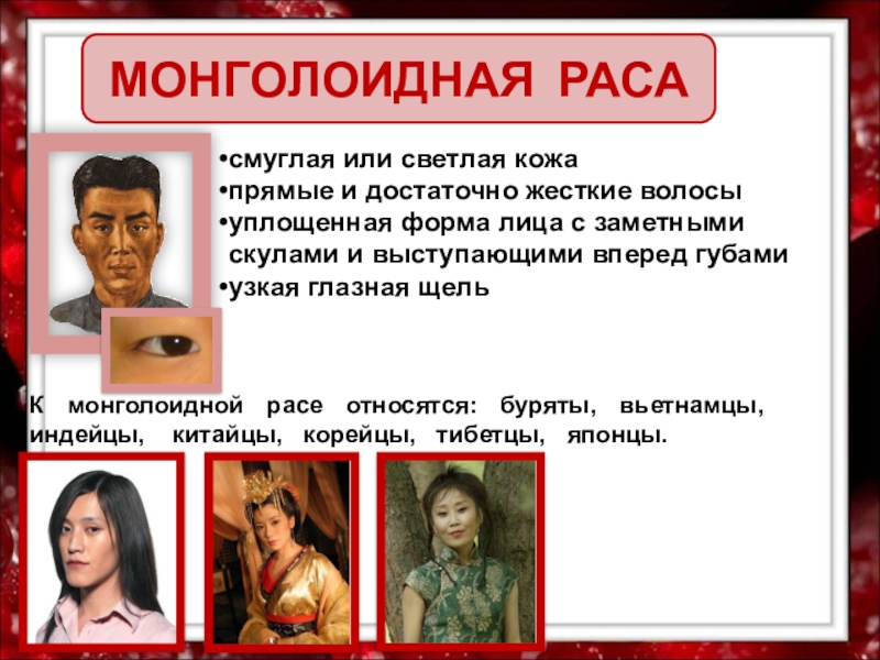 Какой морфологический признак не характеризует монголоидную расу. Волосы монголоидной расы. Форма лица монголоидной расы. Монголоидная раса скулы. Губы монголоидной расы.