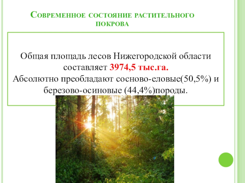 Проект охрана природы в нижегородской области 4 класс окружающий мир