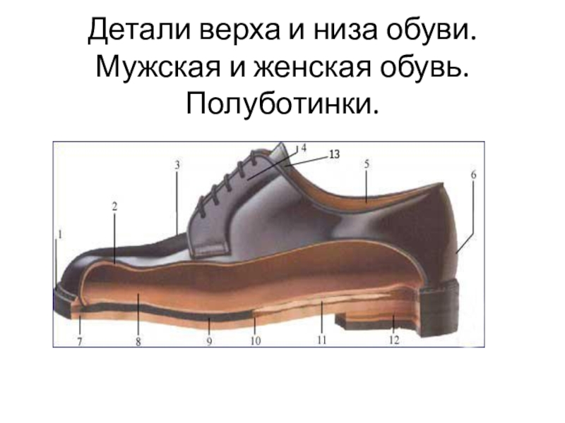 Презентация - детали верха обуви Детали верха и низа обуви. Мужская и женская обувь. Полуботинки. Детали верха и низа обуви. Мужская и женская обувь. Полуботинки.